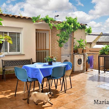 Comfortable Apartment In Caceres 55 M² Welcoming Terrace Kültér fotó