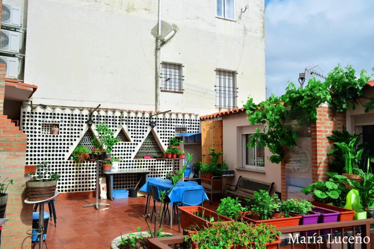 Comfortable Apartment In Caceres 55 M² Welcoming Terrace Kültér fotó