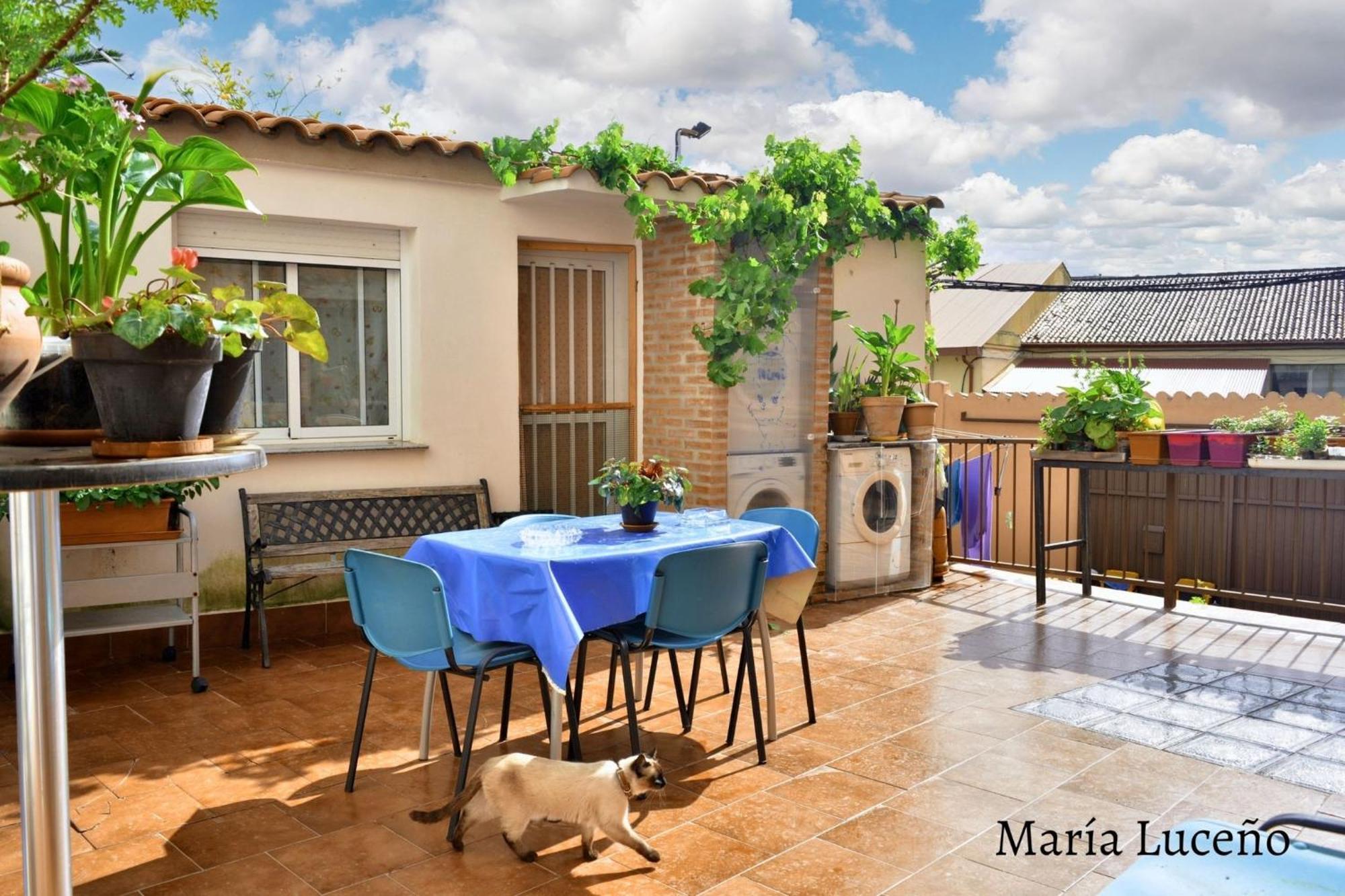 Comfortable Apartment In Caceres 55 M² Welcoming Terrace Kültér fotó